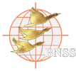 Blue Nile Software Systems Pvt Ltd.